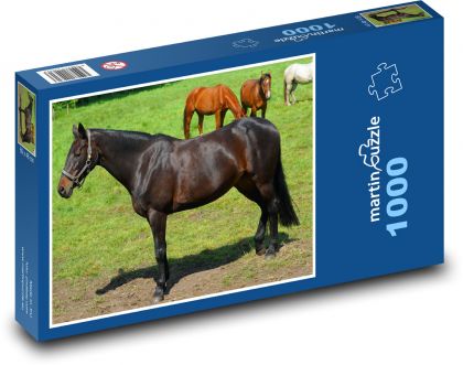 Kůň - pastvina, koně - Puzzle 1000 dílků, rozměr 60x46 cm