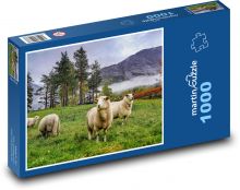 Norsko - hory, ovce Puzzle 1000 dílků - 60 x 46 cm