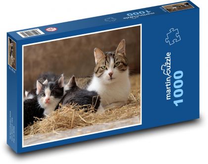 Kočka - kočičí rodina - Puzzle 1000 dílků, rozměr 60x46 cm