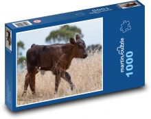 Cielę - krowa, zwierzę Puzzle 1000 elementów - 60x46 cm