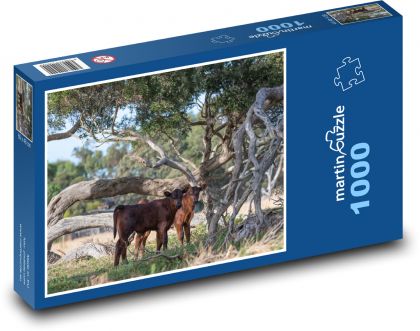 Dobytek - kráva, tele - Puzzle 1000 dílků, rozměr 60x46 cm