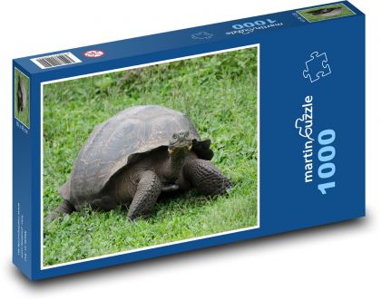 Korytnačka Galapágy - plaz, zviera - Puzzle 1000 dielikov, rozmer 60x46 cm