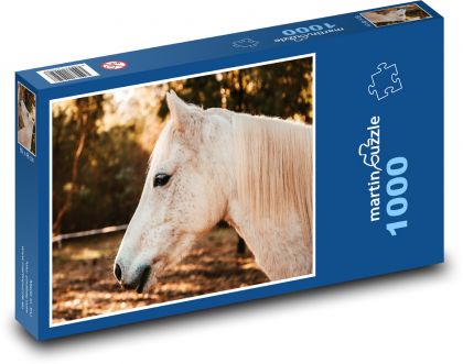 Australský pony - kůň, hříva - Puzzle 1000 dílků, rozměr 60x46 cm