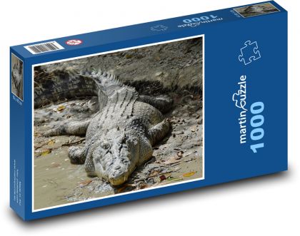 Krokodil - Fleischfresser, Reptil - Puzzle - 1000 Teile