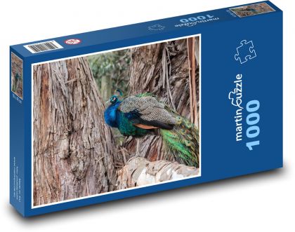 Páv - vták, perie - Puzzle 1000 dielikov, rozmer 60x46 cm