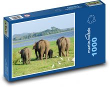Slon indický - Srí Lanka, zvíře Puzzle 1000 dílků - 60 x 46 cm