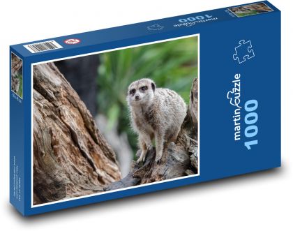 Surykatka - zwierzę, Afryka - Puzzle 1000 elementów, rozmiar 60x46 cm