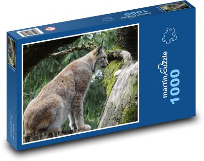 Rys - divoká mačka, zviera - Puzzle 1000 dielikov, rozmer 60x46 cm