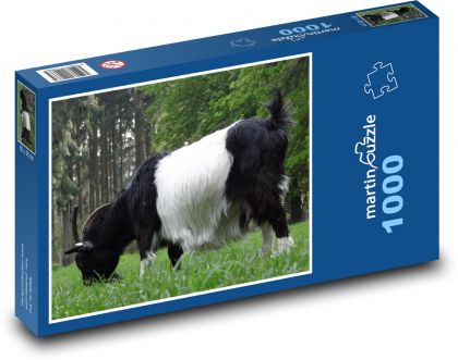 Koza - zvíře, savec - Puzzle 1000 dílků, rozměr 60x46 cm