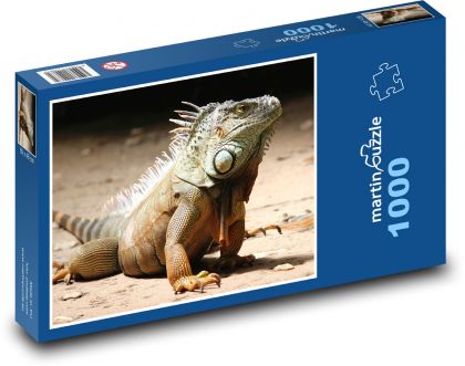 Leguán - plaz, jašterica - Puzzle 1000 dielikov, rozmer 60x46 cm
