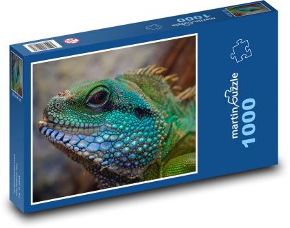Eidechse - exotisches Reptil, Kopf - Puzzle - 1000 Teile
