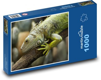 Leguán - ještěrka, zvíře - puzzle 1000 dílků