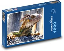 Iguana - lizard, wild game Puzzle 1000 pieces - 60 x 46 cm 