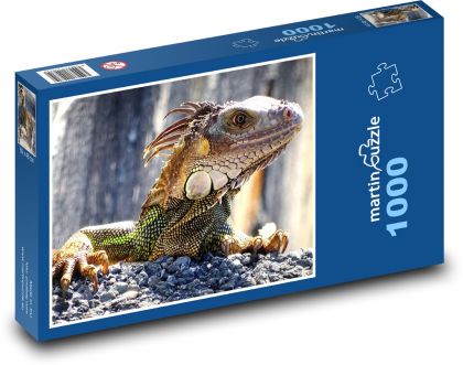 Leguan - Eidechse, wild lebende Tiere - Puzzle - 1000 Teile