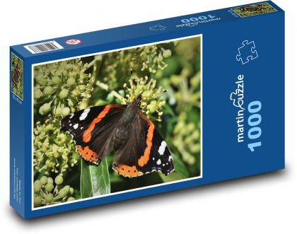 Motýl - hmyz, křídla - Puzzle 1000 dílků, rozměr 60x46 cm