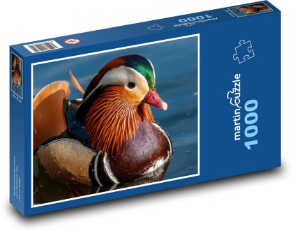Kaczka mandarynka - rzeka, jezioro - Puzzle 1000 elementów, rozmiar 60x46 cm