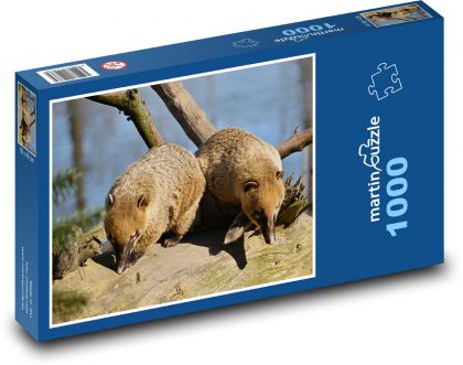 Nosal - zwierzęta, ssak - Puzzle 1000 elementów, rozmiar 60x46 cm