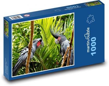 Kakadu - ptáci, zvířata - Puzzle 1000 dílků, rozměr 60x46 cm