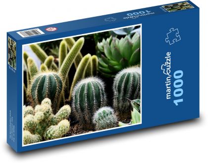 Kaktusy - pokojové rostliny, květiny - Puzzle 1000 dílků, rozměr 60x46 cm