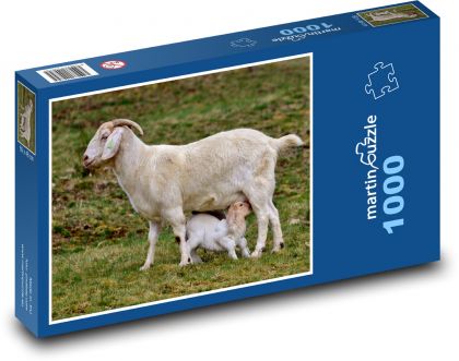 Goat - goat, cub - Puzzle 1000 pieces, size 60x46 cm 