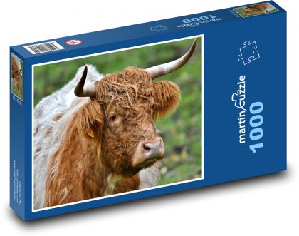 Cow - horns, mammal - Puzzle 1000 pieces, size 60x46 cm 
