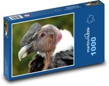 Kondor - pták, dravec Puzzle 1000 - 60x46 cm