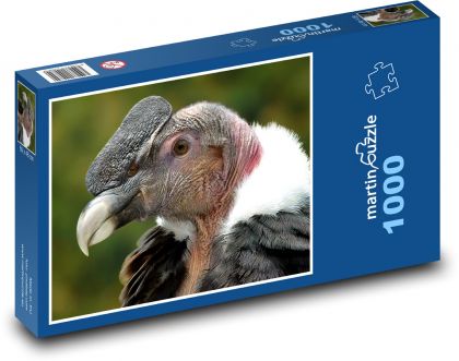 Kondor - Vogel, Raubtier - Puzzle - 1000 Teile