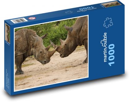 Nosorožec - zvíře, roh - Puzzle 1000 dílků, rozměr 60x46 cm