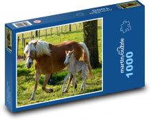Kobyla - hříbě, kůň Puzzle 1000 dílků - 60 x 46 cm