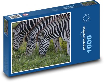 Zebra - zvíře, savec - Puzzle 1000 dílků, rozměr 60x46 cm