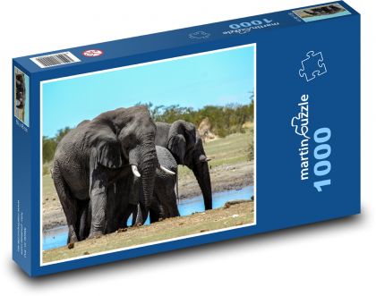 Sloni - slon africký, zvíře - Puzzle 1000 dílků, rozměr 60x46 cm