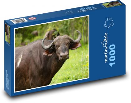 Byvol - Afrika, safari - Puzzle 1000 dielikov, rozmer 60x46 cm