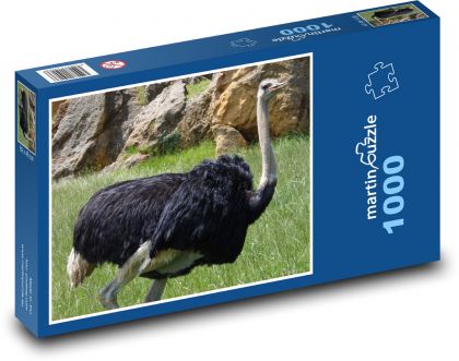 Pštros - vták, zviera - Puzzle 1000 dielikov, rozmer 60x46 cm