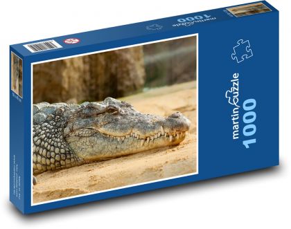 Crocodile - animal, zoo - Puzzle 1000 pieces, size 60x46 cm 
