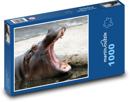 Hroch - zvíře, pusa - puzzle 1000 dílků