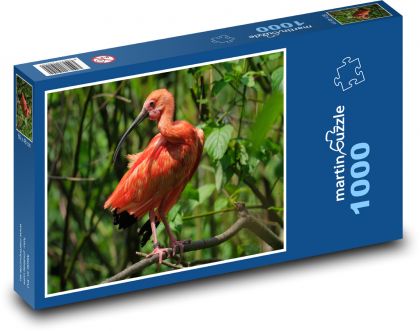 Ibis - pták, divoké zvíře - puzzle 1000 dílků