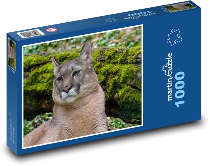 Puma - dravec, zoo - Puzzle 1000 dílků, rozměr 60x46 cm
