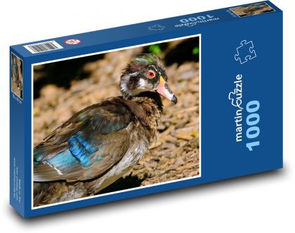 Ente - Vogel, Tier - Puzzle - 1000 Teile