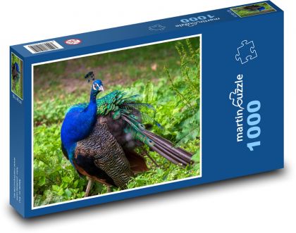 Pfau - Vogel, Tier - Puzzle - 1000 Teile