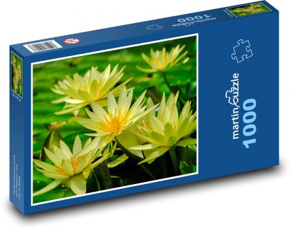 Žltý lekno - rybník, vodný kvet - Puzzle 1000 dielikov, rozmer 60x46 cm