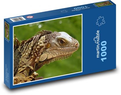Leguan - Eidechse, Florida - Puzzle - 1000 Teile