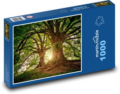 Stromy - sluneční světlo, příroda - Puzzle 1000 dílků, rozměr 60x46 cm