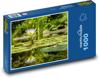 Bílý leknín - odraz ve vodě, rybník - puzzle 1000 dílků