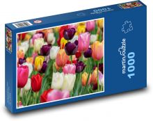 Tulipány - květiny, zahrada Puzzle 1000 dílků - 60 x 46 cm