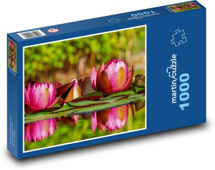 Lekníny - růžové květy, voda - Puzzle 1000 dílků, rozměr 60x46 cm