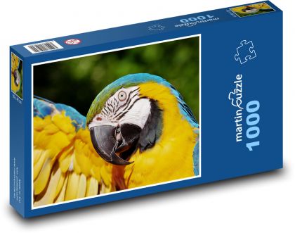 Papoušek - ara, pták - Puzzle 1000 dílků, rozměr 60x46 cm
