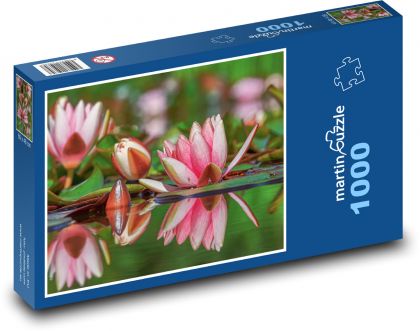 Lekno - kvet, rybník - Puzzle 1000 dielikov, rozmer 60x46 cm