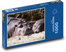 Hroch - zvíře, savec Puzzle 1000 dílků - 60 x 46 cm
