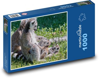 Lemur - opice, mláďata - Puzzle 1000 dílků, rozměr 60x46 cm