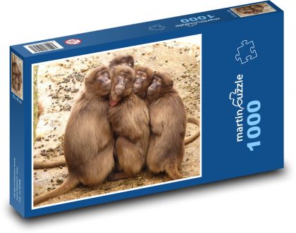 Paviáni - opice, zvířata - Puzzle 1000 dílků, rozměr 60x46 cm